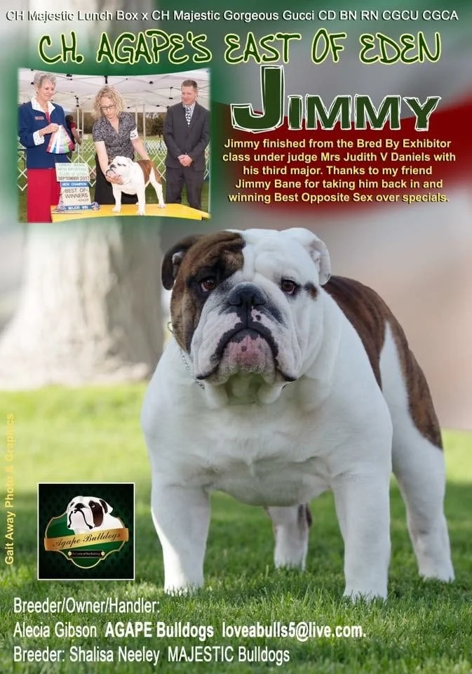 Jimmy